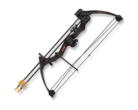 Bear Archery® Youth Archery Brave Bow Set - Black