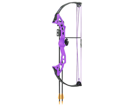 Bear Archery® Youth Archery Brave Bow Set - Purple