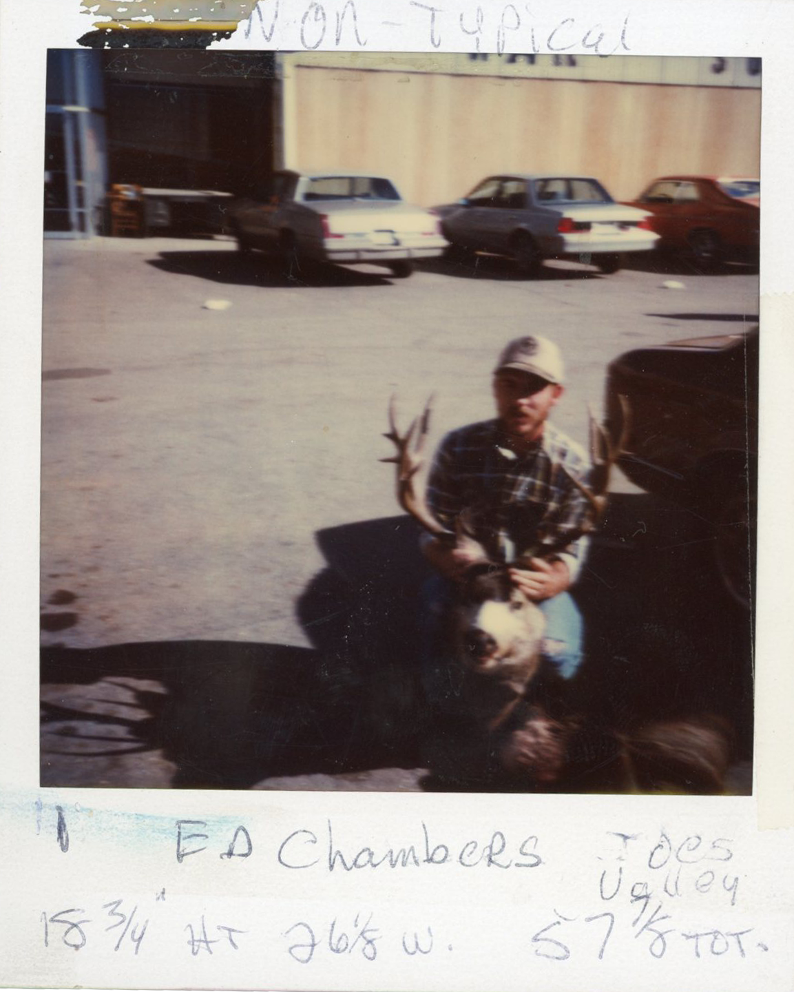 Ed Chambers
