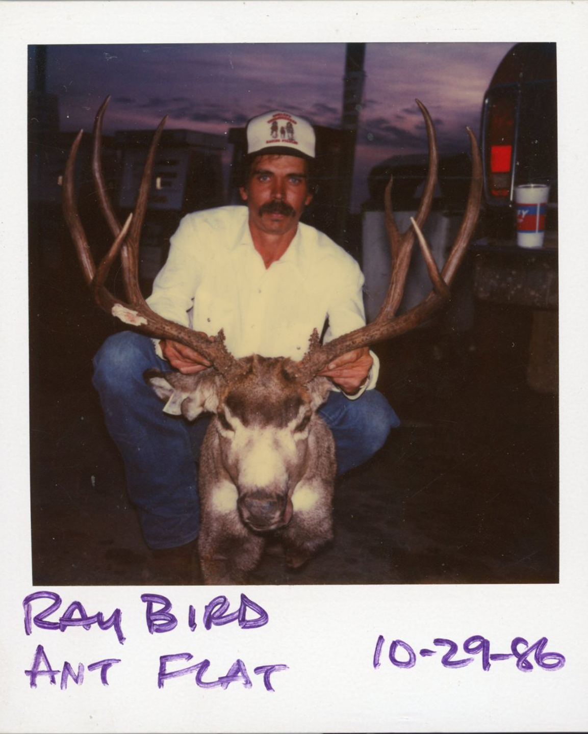 Ray Bird