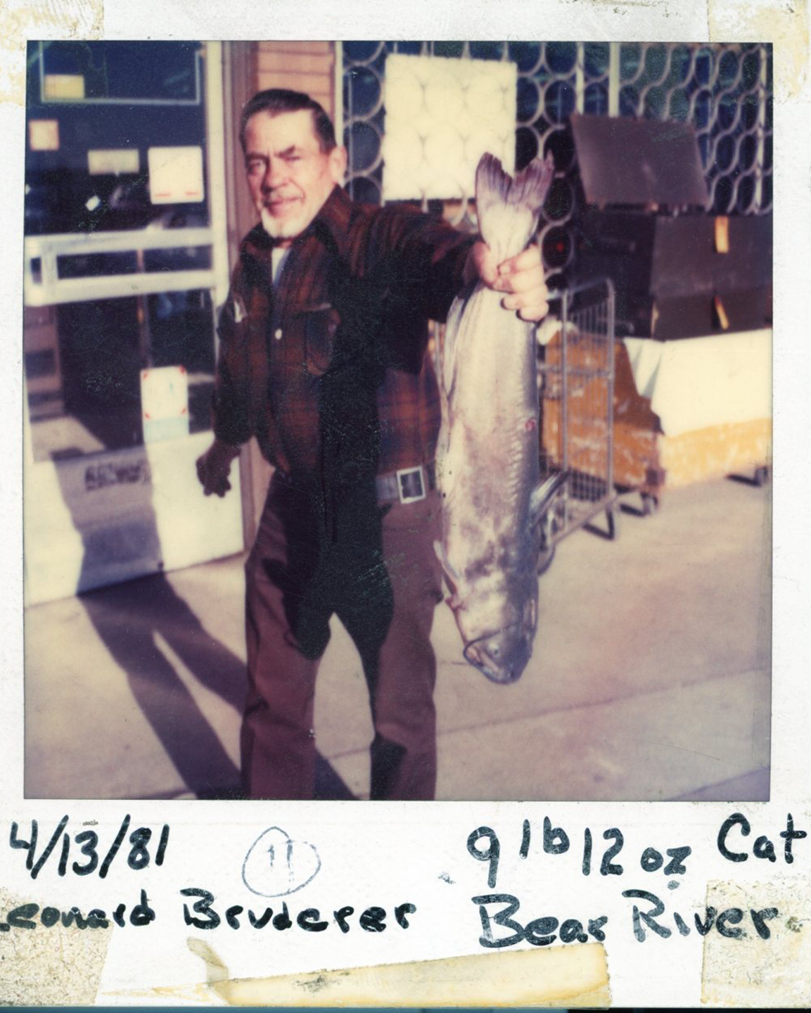 Bruce Bayne 3/13/88