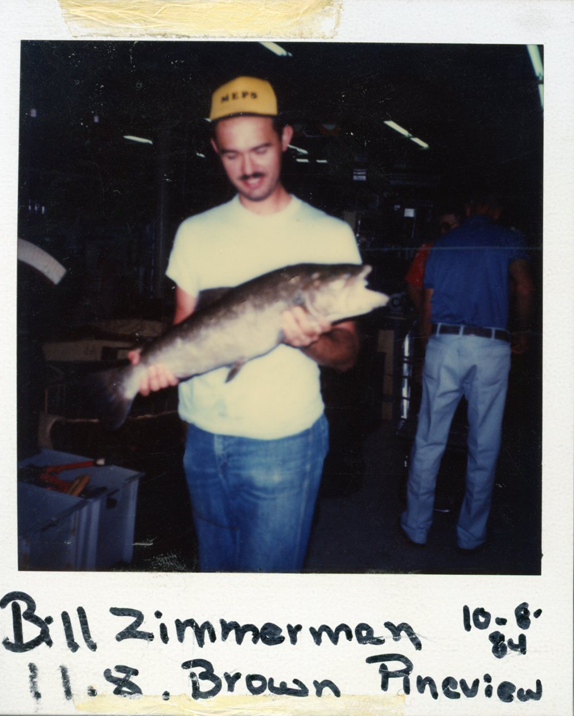Bill Zimmerman 10/8/84