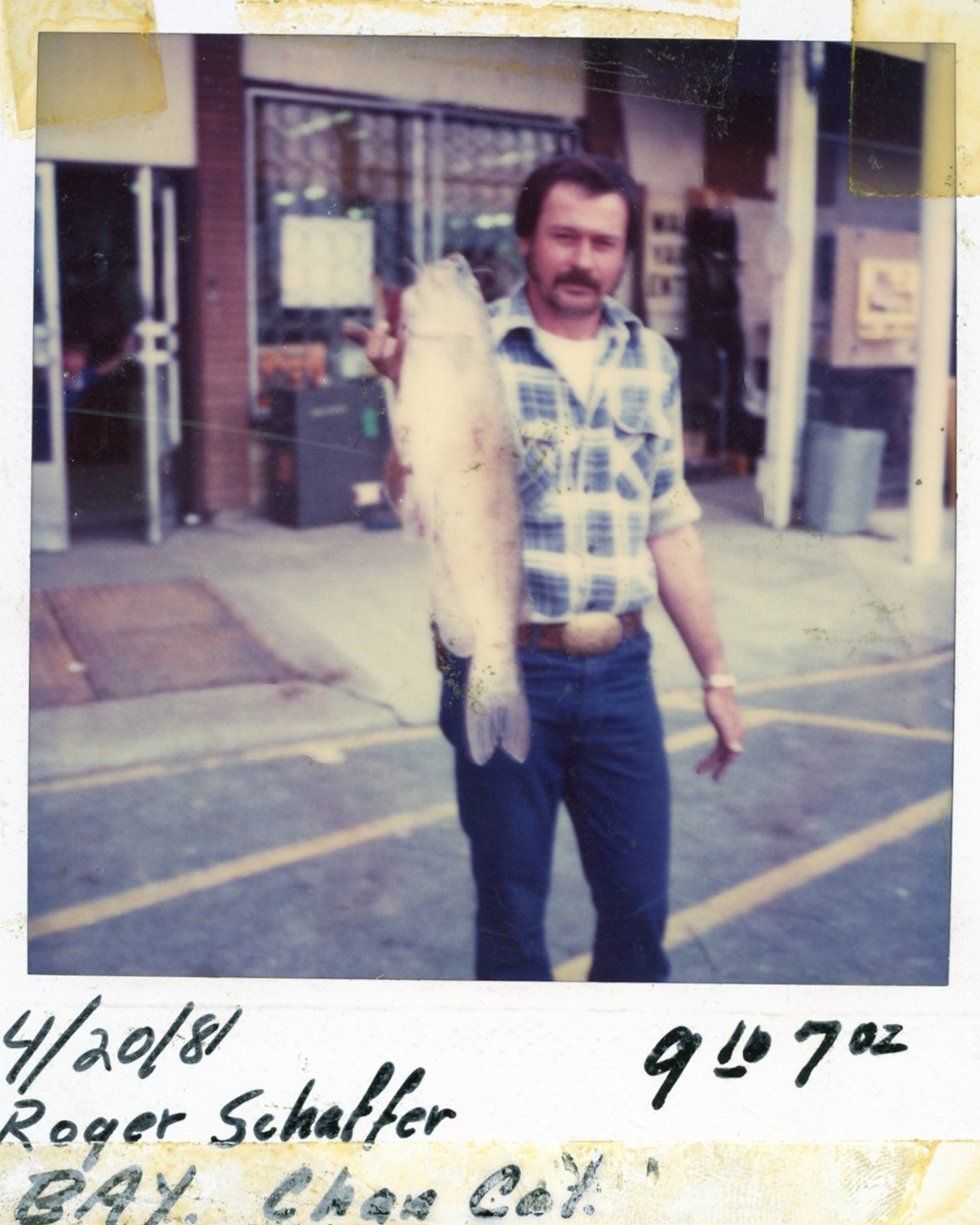 Roger Schaffer 4/20/81