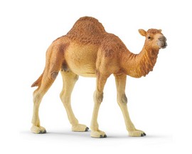 Schleich® Dromedary