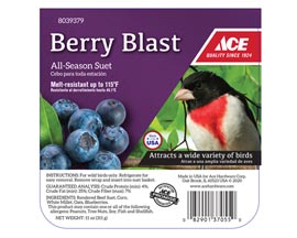 Ace® Berry Blast Suet Cake - 11 oz.