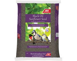 Ace® Wild Bird Food Black Oil Sunflower - 20 Lb.