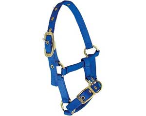 Nylon Llama Halter