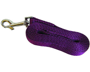 6-Foot Nylon Dog Leash