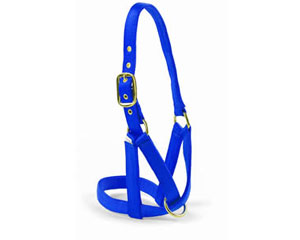 Valhoma Nylon Cow Halter