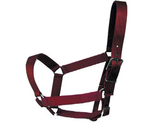 Valhoma Premium Heavy Duty Draft Halter