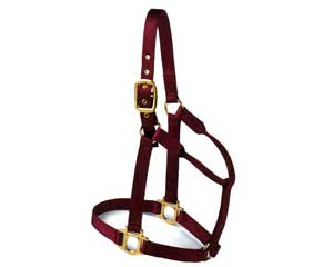 Valhoma Premium Draft Horse Halter