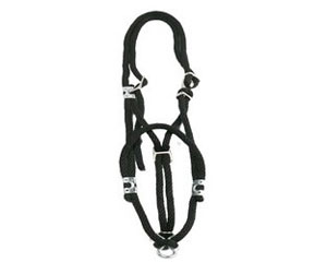 Yearling Cow Rope Halter with Chain