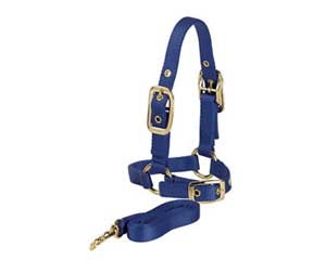 Sheep Halter with 5' Lead