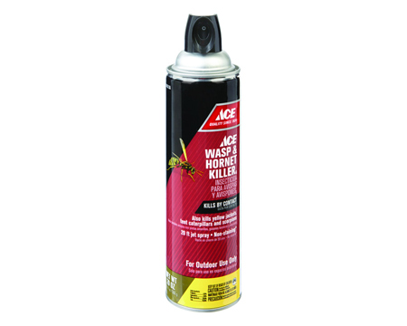 Ace® Wasp & Hornet Killer - 20 oz.