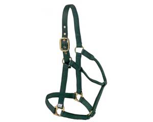 Valhoma Economy Q Large Horse Halter