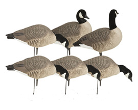 Avery® Hunter Series Canadian Harvester Decoys - Pack of 6