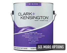 Clark+Kensington® 1 Gal. Premium Interior & Exterior Paint+Primer In One - High-Gloss