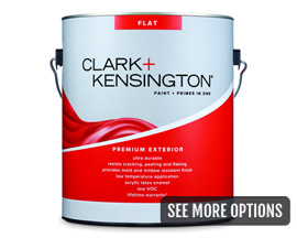 Clark+Kensington® 1 Gal. Premium Exterior Paint+Primer In One - Flat