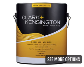 Clark+Kensington® 1 Gal. Premium Interior Paint+Primer In One - Flat