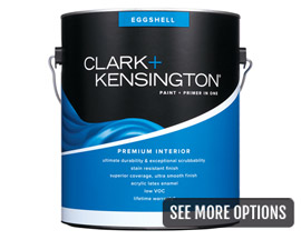 Clark+Kensington® 1 Gal. Premium Interior Paint+Primer In One - Eggshell
