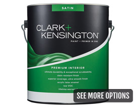 Clark+Kensington® 1 Gal. Premium Interior Paint+Primer In One - Satin