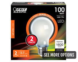 Feit Electric® 100 Watt Equivalent A21 LED Light Bulbs - 2 Pack