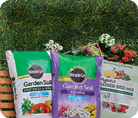 Potting Soil and Fertilizer