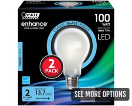 Feit Electric® 100 Watt Equivalent A21 Enhance Filament LED Light Bulbs - 2 Pack