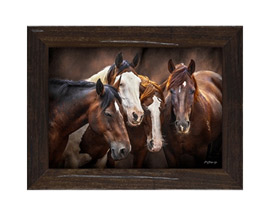 Rocky Mountain Publishing® Board Meeting 11x15 Framed Art