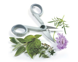 Norpro® My Favorite Scissors