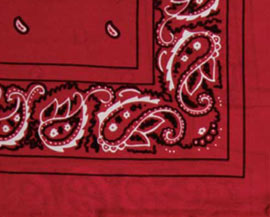 Wyoming Traders® 42 in. Bandana Style Wild Rag - Red