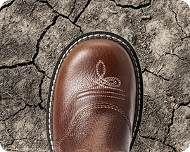 Round Toe