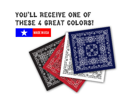 22 in. x 22 in. Bandanna - Assorted Colors