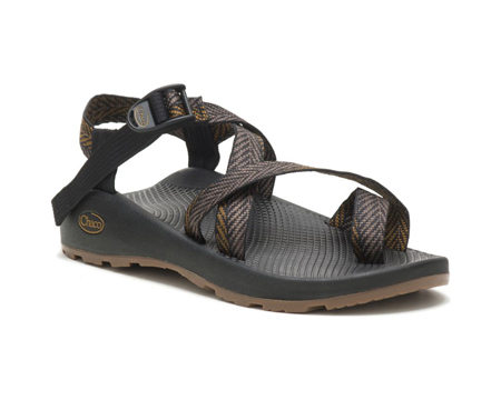 Chaco® Men's Z/2 Classic Sandals - Bracken Bronze