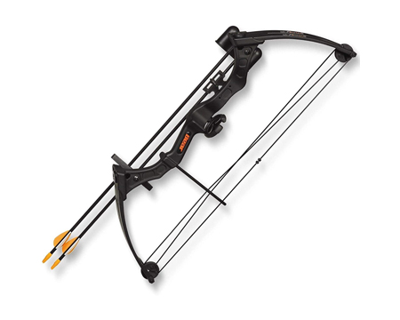 Bear Archery® Youth Archery Brave Bow Set - Black