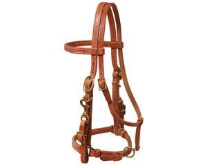 Halter Bridle Combo