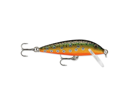 Rapala Countdown 07 Brook Trout 