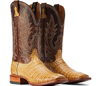 Men's Western Boots