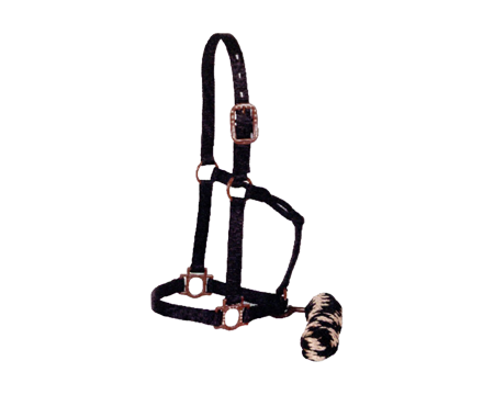 Horse Size Nylon Halter with Lead Antique Hardware with Dots