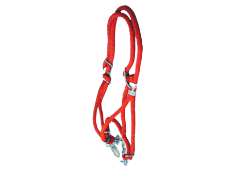 Calf Rope Halter with Chain