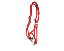 Calf Rope Halter with Chain