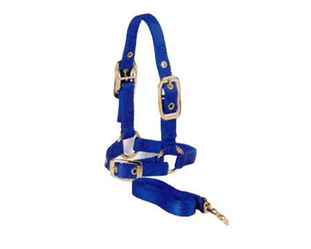 Valhoma Sheep Halter 5' Lead