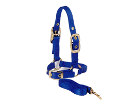 Valhoma Sheep Halter 5' Lead