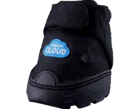 EasyCare EASYBOOT CLOUD