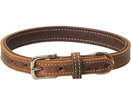 Weaver Equine® Crazy Horse Leather Dog Collar - 1 in.