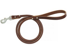 Terrain D.O.G.® Rolled Bridle Leather Dog Leash - 6 ft.
