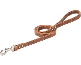 Weaver Equine® Native Spirit Leather Dog Leash - 4 ft.