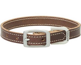 Terrain D.O.G.® Flat Bridle Leather Dog Collar - 1 in.