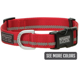 Terrain D.O.G.® Snap-N-Go Adjustable Dog Collar with Reflective Stripe