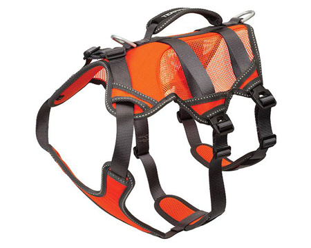 Terrain D.O.G® High-Vis 